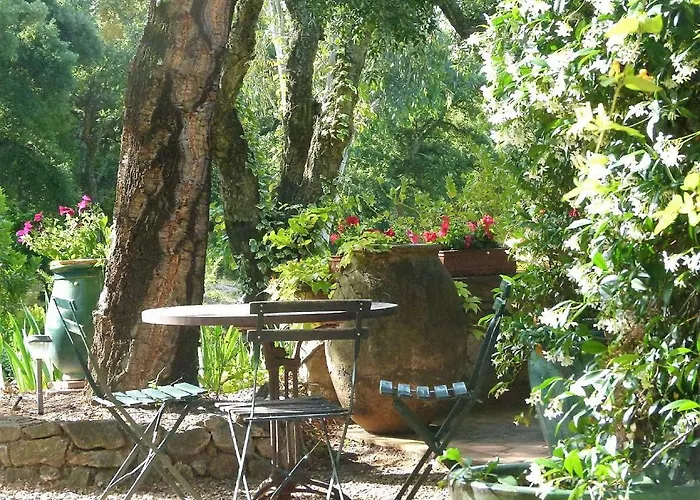 Le Bastidon Saint-michel Σαιντ-Μαξίμ