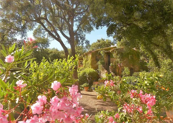 Le Bastidon Saint-michel Bed and Breakfast